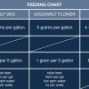 Week 00 - Feed Chart  V B